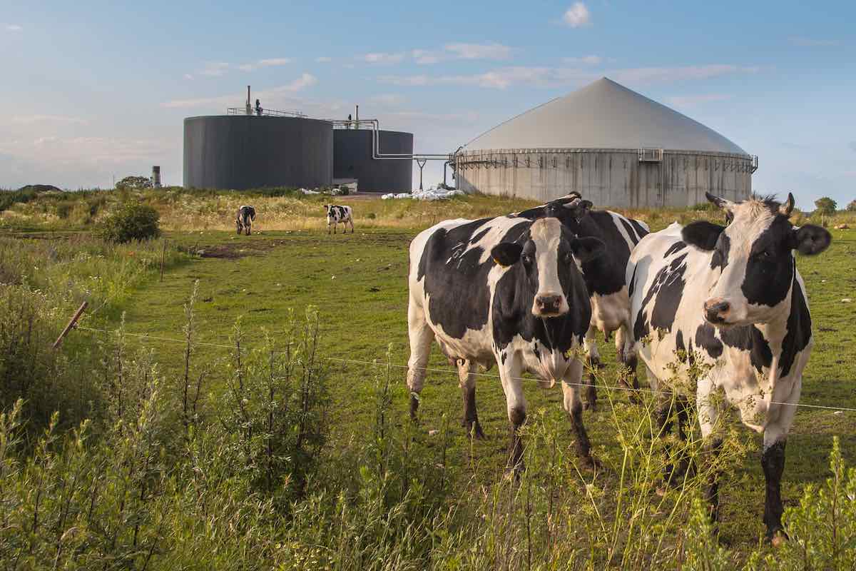 Biogás y futuro energético